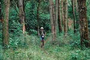 BIB: 
                            <button type="button" onclick="openModal(25236839)" class="btn btn-primary btn-sm float-right btn-popup" data-toggle="modal" data-target=".modal-high-quality">
                        <i class="fas fa-shopping-cart"></i> Add to Cart
                    </button>
                                            <button type="button" onclick="isThisMe(25236839, true)" class="btn btn-success btn-sm float-right btn-popup btn-isme hidden" data-toggle="tooltip" data-placement="bottom" title="นี่คือรูปของคุณใช่ไหม คลิกที่นี่เพื่อเอาเข้าอัลบั้ม">
                        <i class="fas fa-plus"></i> Add to album
                    </button>
                    <button type="button" onclick="isThisMe(25236839, false)" class="btn btn-warning btn-sm float-right btn-popup btn-isnotme hidden">
                        <i class="fas fa-ban"></i> Remove from album
                    </button>